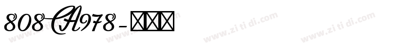 808 CA978字体转换